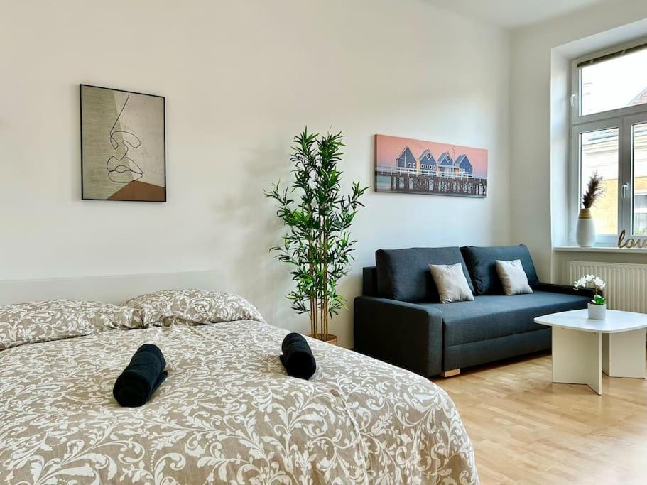 50 M2 Viena
