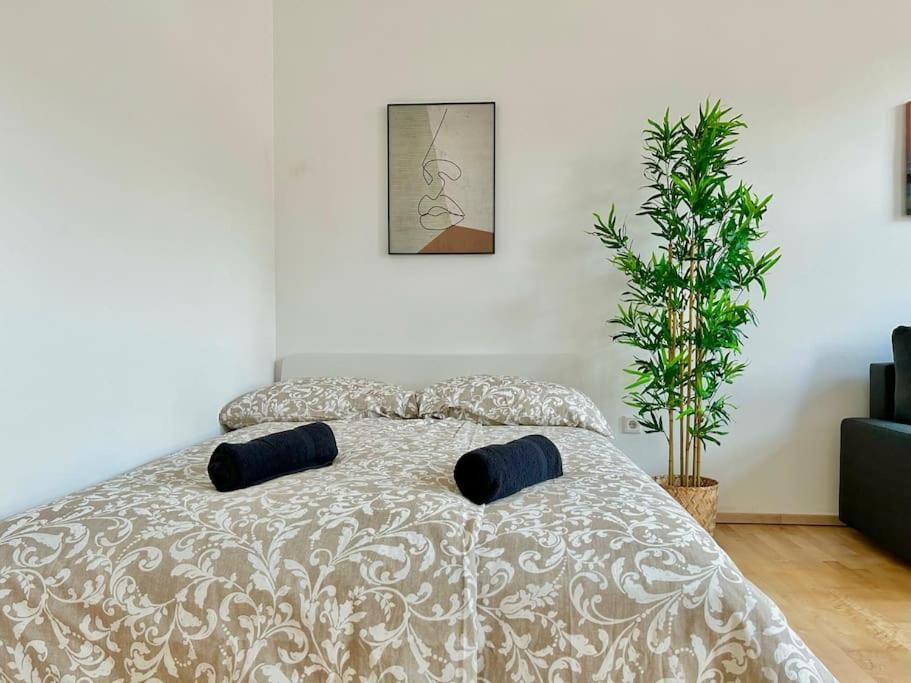 50 M2 Apartamento *
